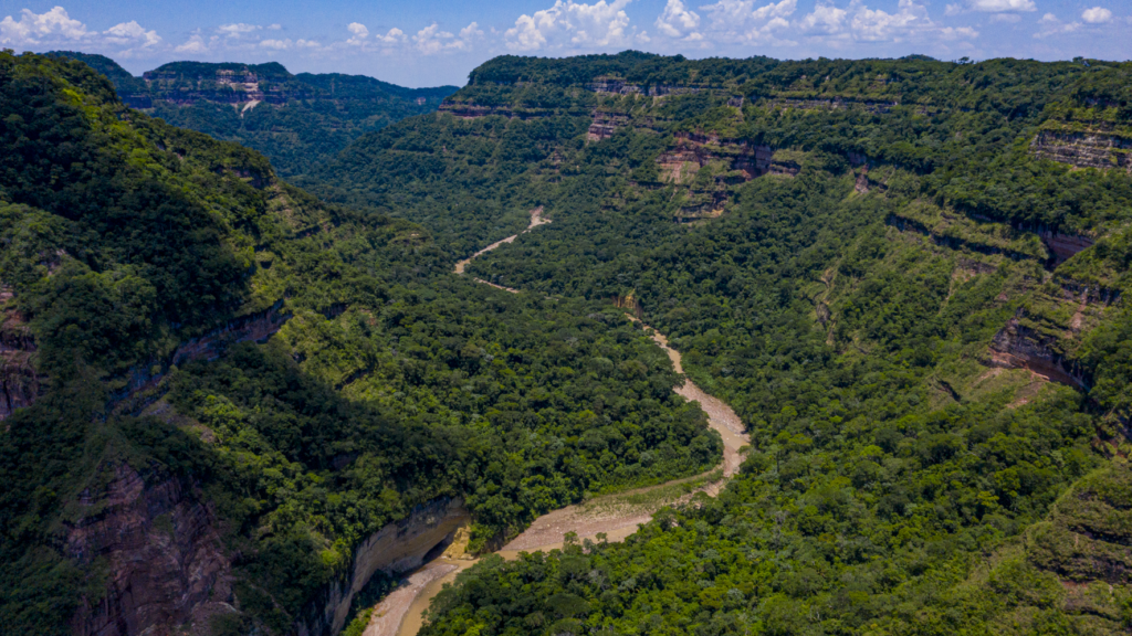 AMBORO PARQUE