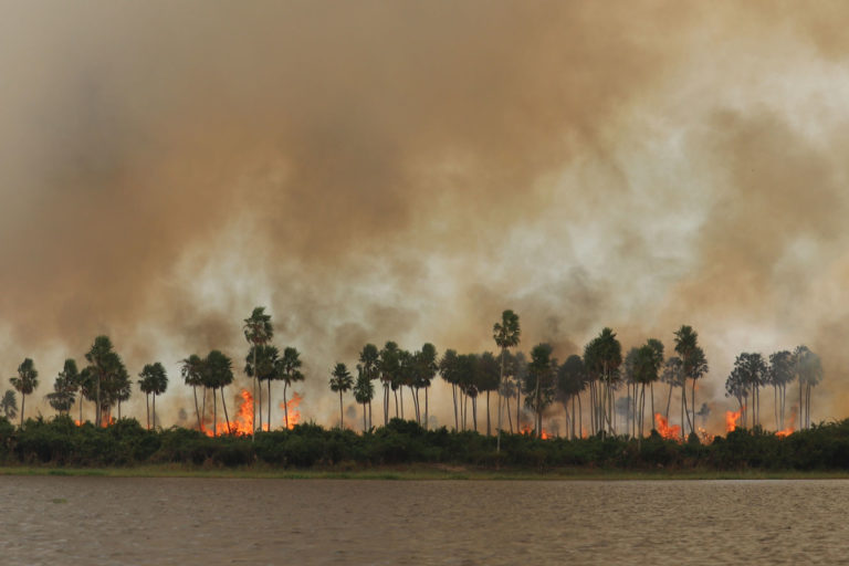 Incendios en el Pantanal Guyra Paraguay 768x512 1