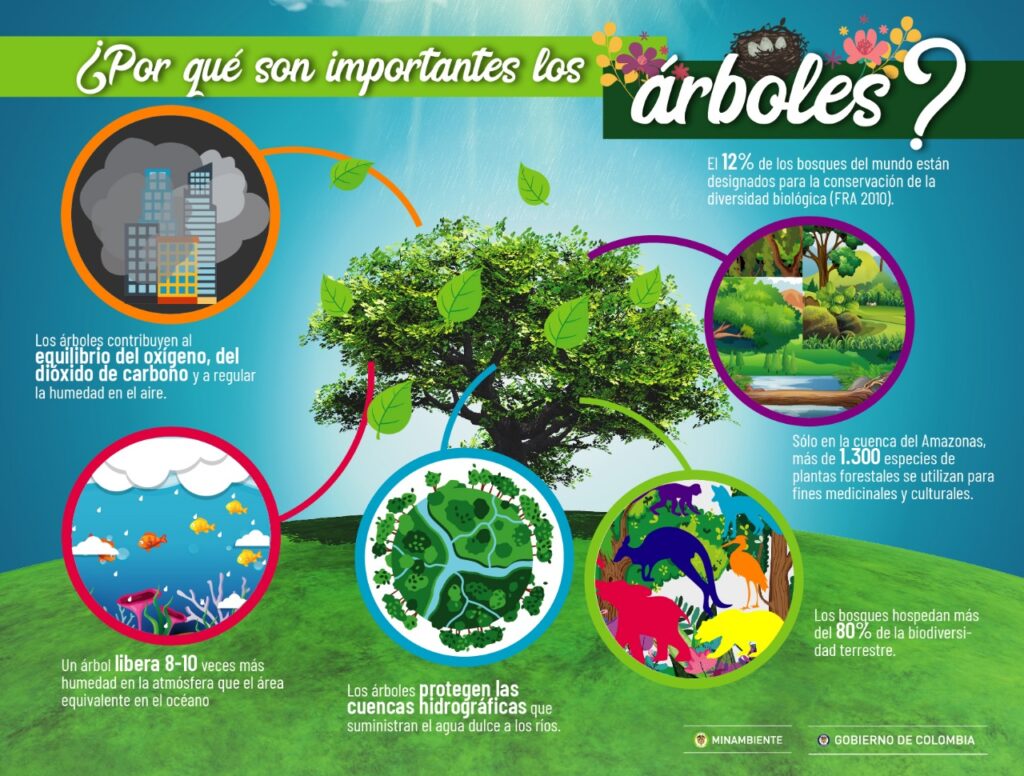 Infografia arbol