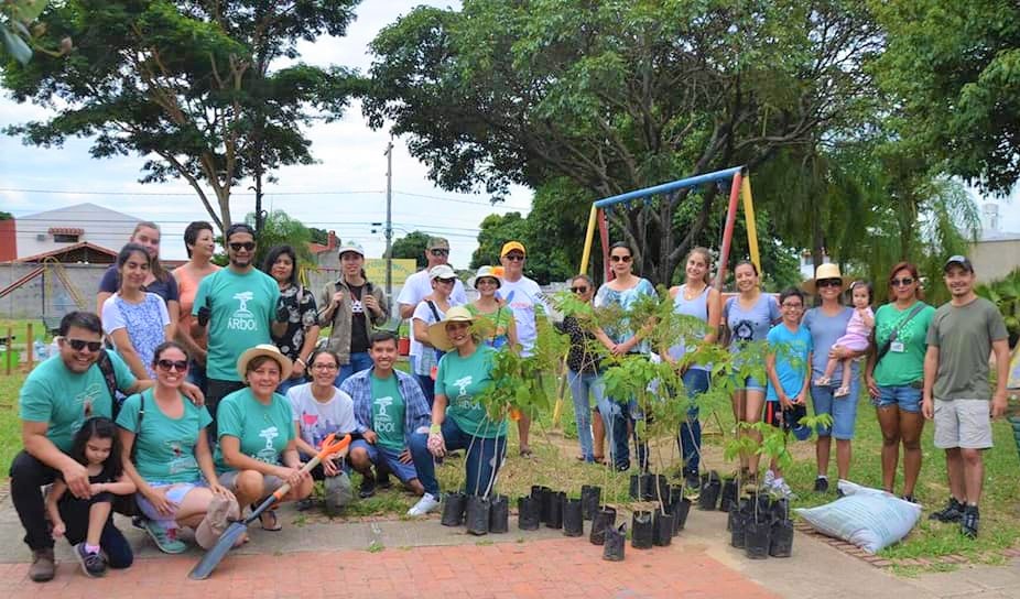 colectivo arbol 1