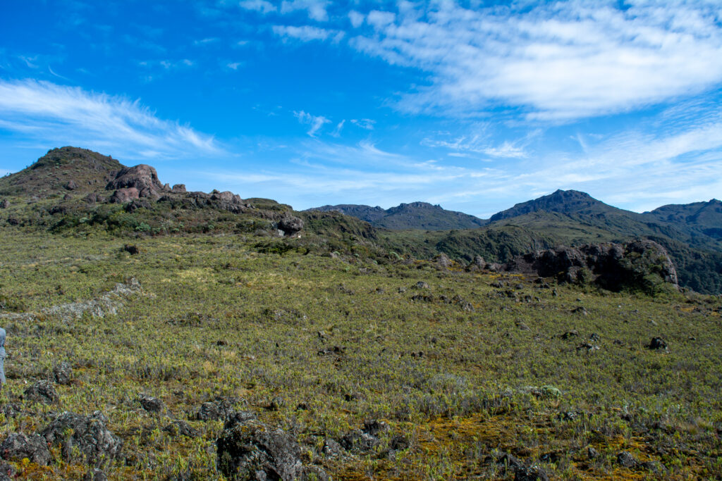 CordilleraTalamanca