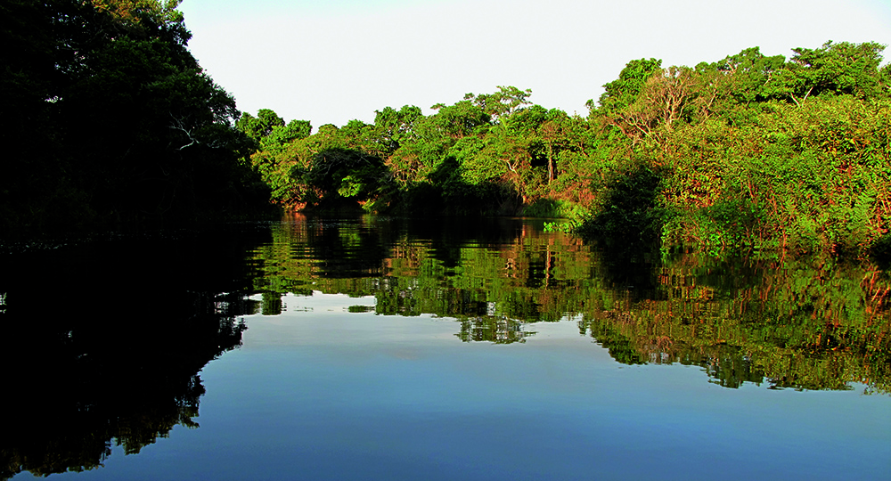 rios de Bolivia